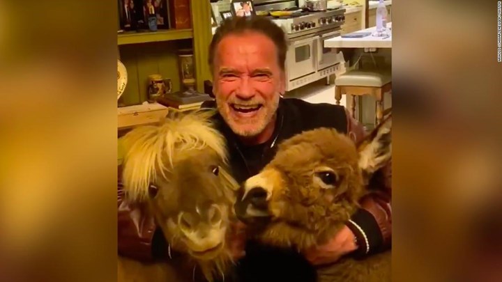 Κορονοϊός – Το viral μήνυμα του Σβαρτσενέγκερ με το πόνυ και το γαϊδουράκι του – ΒΙΝΤΕΟ