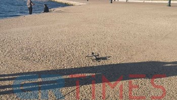 Κορονοϊός – Θεσσαλονίκη: Επιστρατεύτηκε drone για να «αδειάσει» η παραλία – ΒΙΝΤΕΟ