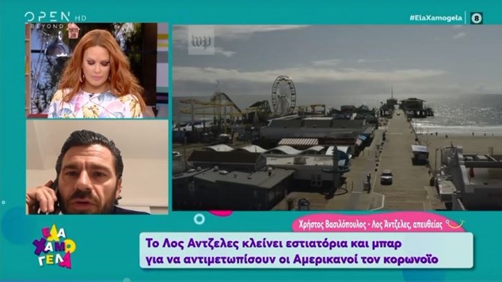 Κορονοϊός- Βασιλόπουλος: Στο Λος Άντζελες βλέπουμε ουρές σε καταστήματα με όπλα και πυρομαχικά -ΒΙΝΤΕΟ