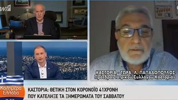 Κορονοϊός: Ο Πρόεδρος του Ιατρικού Συλλόγου Καστοριάς για τον θάνατο της 41χρονης – ΒΙΝΤΕΟ