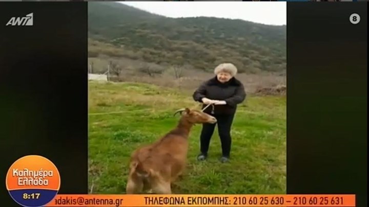 Κορονοϊός: Γιαγιά βγάζει βόλτα… την κατσίκα της – ΒΙΝΤΕΟ