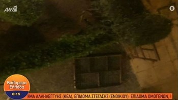 Κορονοϊός: Ραντεβού για… ξύλο παρά την απαγόρευση κυκλοφορίας – ΒΙΝΤΕΟ