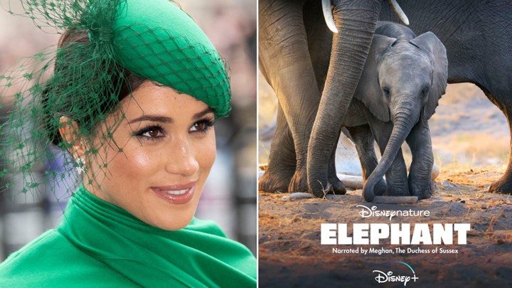 Η Μέγκαν Μαρκλ στον ρόλο αφηγήτριας σε ντοκιμαντέρ της Disney – ΒΙΝΤΕΟ