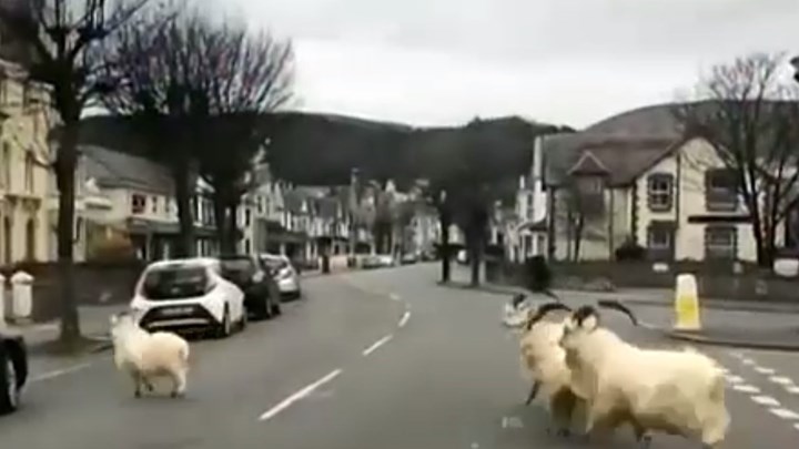 Τα “παράξενα” του κορονοϊού ανά τον πλανήτη – ΒΙΝΤΕΟ