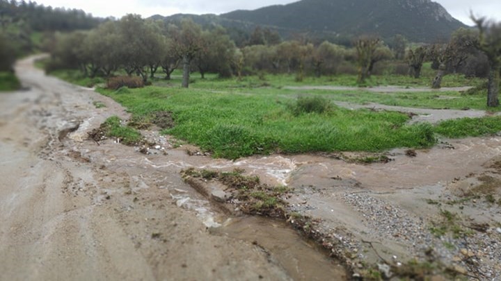 Κακοκαιρία: Ποτάμια οι δρόμοι στη Χαλκιδική – Πλημμύρισαν σπίτια – ΦΩΤΟ – BINTEO
