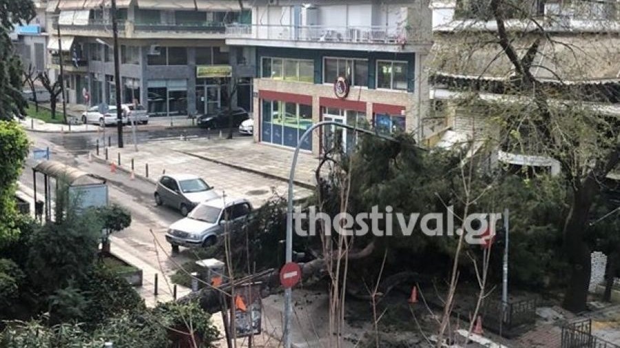 Κακοκαιρία: “Σαρώνει” τη Θεσσαλονίκη – Δέντρο έπεσε και ξερίζωσε καλώδια της ΔΕΗ στην Καλαμαριά – ΦΩΤΟ