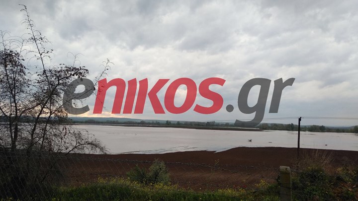 Υπερχείλισε ο Πηνειός – Πλημμύρισαν καλλιέργειες – ΦΩΤΟ αναγνώστη