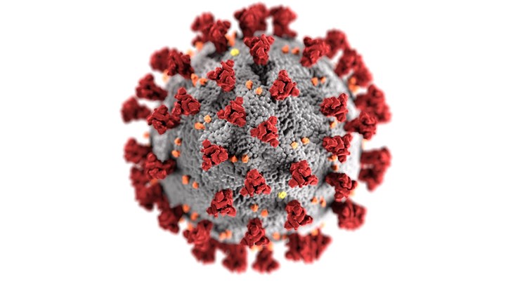 Κορονοϊός: Τι ρόλο παίζει το ανοσοποιητικό στην επιδείνωση του ιού;
