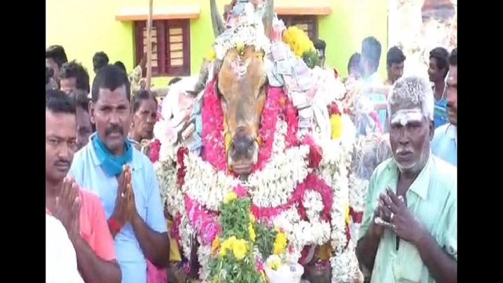 Ινδία: “Έσπασαν” την καραντίνα… για να κλάψουν έναν ταύρο