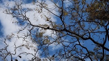 Καιρός: Λιακάδα στο μεγαλύτερο μέρος της χώρας – Πού θα βρέξει