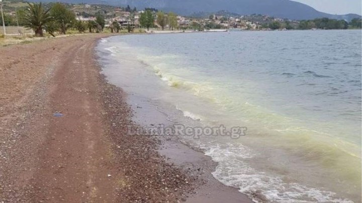 Φθιώτιδα: Γιατί έγινε κίτρινος ο Μαλιακός Κόλπος – ΦΩΤΟ – ΒΙΝΤΕΟ