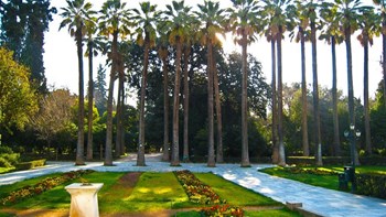 Δήμος Αθηναίων: Οι χώροι πρασίνου και άθλησης που ξεκινούν να ανοίγουν σταδιακά από τη Δευτέρα