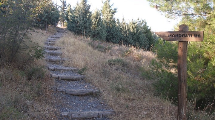 Ελεύθερη η πρόσβαση στο Σέιχ Σου και το δάσος Χορτιάτη