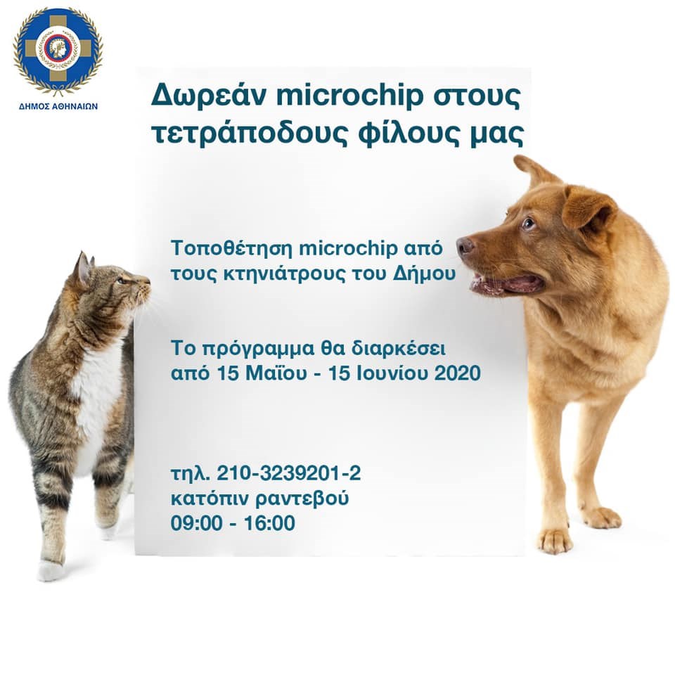 Δήμος Αθηναίων: Παροχή δωρεάν microchip για σκύλους και γάτες