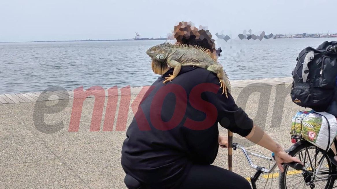 Θεσσαλονίκη: Βγήκε βόλτα με το ποδήλατο και το ιγκουάνα στην…πλάτη – ΦΩΤΟ αναγνώστη