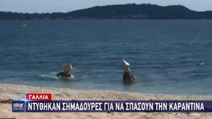 Τα ευτράπελα της καραντίνας: Ντύθηκαν σημαδούρες για να μπουν στη θάλασσα – ΒΙΝΤΕΟ