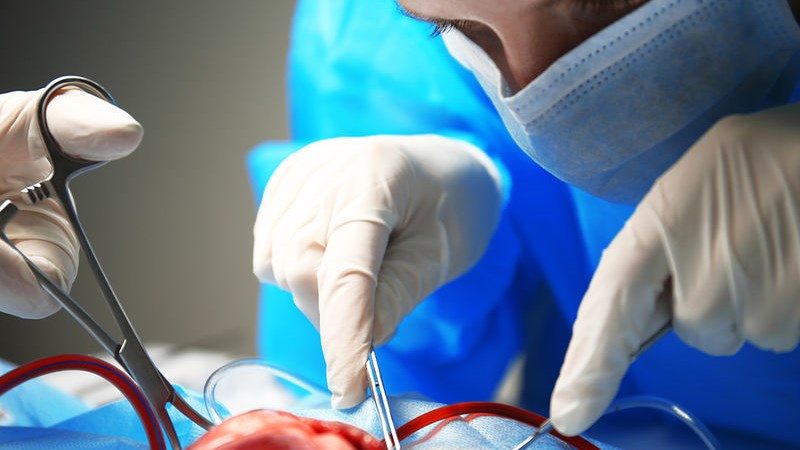 «Θύμα» του κορονοϊού οι μεταμοσχεύσεις – Μείωση κατά 85% στην Ελλάδα