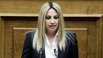 Γεννηματά: Κυβέρνηση και ΣΥΡΙΖΑ εξαντλούνται ξανά σε κοκορομαχίες – ΒΙΝΤΕΟ