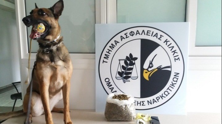 Αυτή είναι η Minnie: Η νέα επιτυχία του αστυνομικού σκύλου που εντόπισε ναρκωτικά