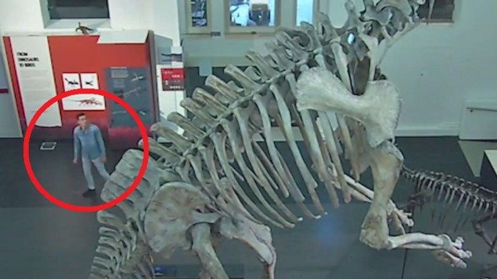 Μια νύχτα στο Μουσείο: Έκανε διάρρηξη για να βγάλει selfies με… δεινόσαυρους – ΒΙΝΤΕΟ