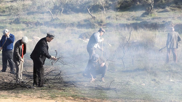 Άγριες Μέλισσες: Πεδίο μάχης το Διαφάνι – Δούκας και Ελένη αντιμέτωποι