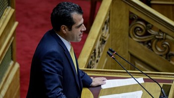 Πλεύρης προς ΣΥΡΙΖΑ για Παπαγγελόπουλο: Ή καλύπτετε ή φοβάστε