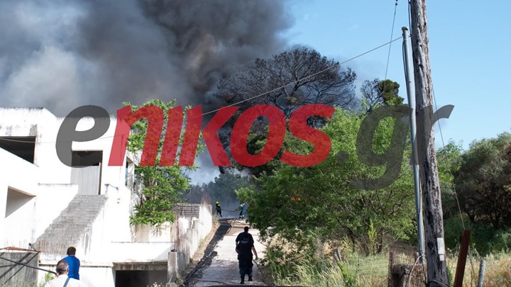 EKTAKTO-Φωτιά στην Άνοιξη – ΦΩΤΟ αναγνώστη