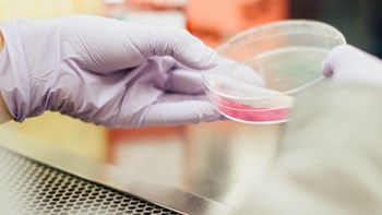 Κορονοϊός: Ένα νέου τύπου γρήγορο τεστ ανίχνευσης προτείνουν Έλληνες ερευνητές