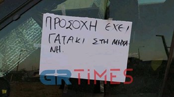 Θεσσαλονίκη: Το συγκινητικό μήνυμα για ένα… γατάκι – ΦΩΤΟ