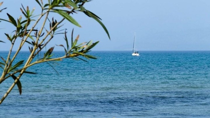 Καύσωνας στις ελληνικές θάλασσες – Πώς προκαλείται και πόσο συχνά εμφανίζεται το φαινόμενο