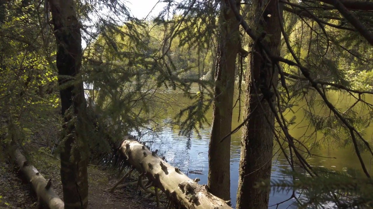 Κορονοϊός: Ξεσήκωσε μία πόλη με την απόφασή του να πάει στο δάσος με τα παιδιά για να σωθεί από τον ιό