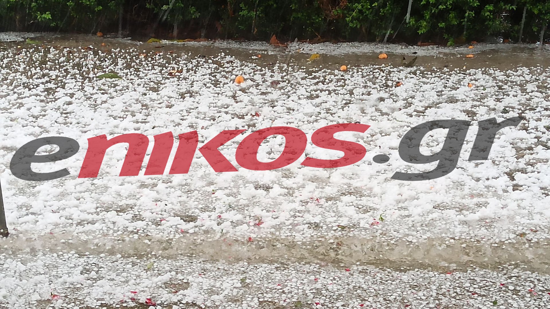 Κακοκαιρία: Λευκό τοπίο στην Πρέβεζα – Καταστράφηκαν καλλιέργειες – ΦΩΤΟ και ΒΙΝΤΕΟ αναγνώστη