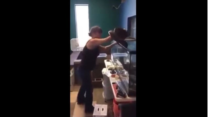 Έδωσε μάχη με τον πύθωνα που έχει για… κατοικίδιο – ΒΙΝΤΕΟ