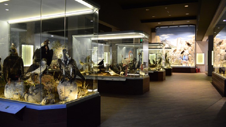 Δύο βραβεία για το Μουσείο φυσικής ιστορίας Μετεώρων και μουσείο μανιταριών