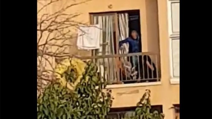 Οργή στην Κύπρο: Νταής ξυλοκόπησε τη σύντροφό του και τον σκύλο τους στο μπαλκόνι – ΒΙΝΤΕΟ σοκ