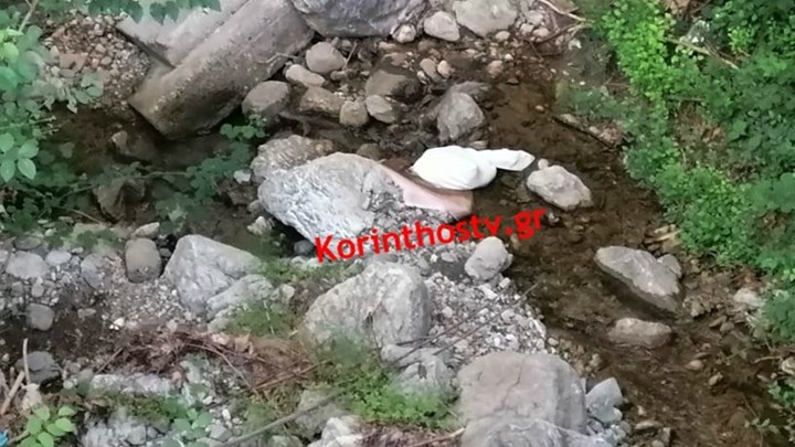 Κτηνωδία στην Αργολίδα: Πέταξαν σακούλα με νεογέννητα κουτάβια σε ρέμα – ΒΙΝΤΕΟ