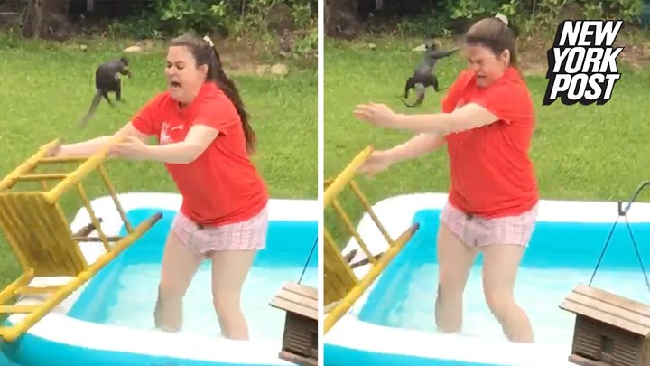 Viral: Η προσπάθεια να σώσει σκιουράκι… απέτυχε παταγωδώς – ΒΙΝΤΕΟ