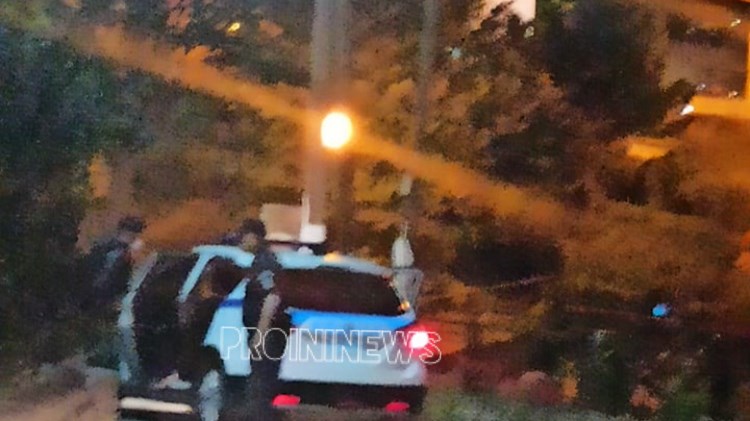 Ελευθερούπολη: Μετανάστες σκαρφάλωσαν στο δέντρο για να αποφύγουν τη σύλληψη – ΦΩΤΟ