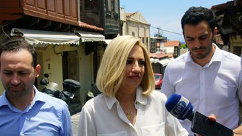 Στη Ρόδο η Φώφη Γεννηματά – Η συγκινητική αναφορά στον Δημήτρη Κρεμαστινό