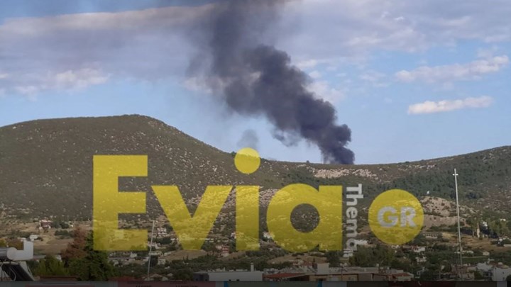 Χαλκίδα: Μεγάλη φωτιά στον ΧΥΤΑ της Χαραυγής – Συναγερμός στην Πυροσβεστική – ΦΩΤΟ