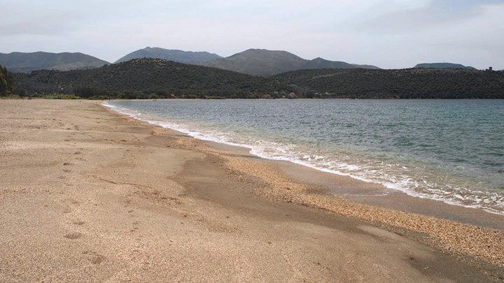 Μάνη: Φίδι βγαίνει από τη… θάλασσα και προκαλεί πανικό – ΦΩΤΟ