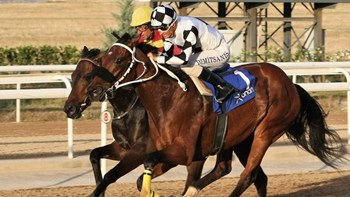 Markopoulo Park: Επιστροφή των ελληνικών ιπποδρομιών με θέαμα και κέρδη