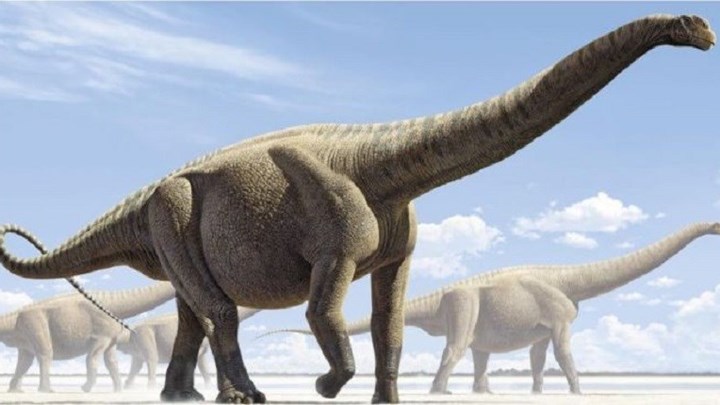 Επιστημονική ανακάλυψη: Οι πρώτοι δεινόσαυροι ρίχνουν… φως στην εξέλιξη των αυγών