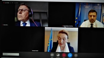 Χαρδαλιάς στο Συμβούλιο της Ευρώπης: Στόχος των μέτρων που λάβαμε η διασφάλιση της δημόσιας υγείας