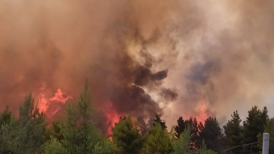 Μαρτίνο Φθιώτιδας: Νέες εικόνες από τη μεγάλη φωτιά – ΒΙΝΤΕΟ