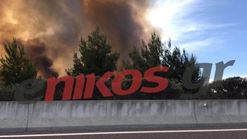 Φωτιά στο Μαρτίνο: Ενισχύθηκαν οι δυνάμεις της Πυροσβεστικής