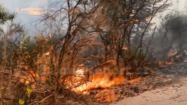 Φωτιά ΤΩΡΑ στη Βάρη