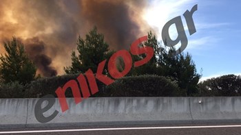 Φωτιά στο Μαρτίνο: Πώς εξελίσσεται η πυρκαγιά