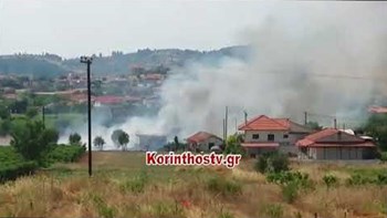 Φωτιά στο Βασιλικό Κορινθίας: Περιορίζεται το μέτωπο – Δεν κινδυνεύουν κατοικίες – ΦΩΤΟ