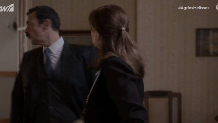 Άγριες Μέλισσες: Χαμός στο Twitter με το χαστούκι της Ανέτ στον Δούκα και την αποκάλυψη στον Μελέτη